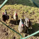 Mit Kamin Am Nationalpark Hainich * Beuernfeld