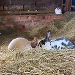 Mit Kamin Am Nationalpark Hainich Beuernfeld