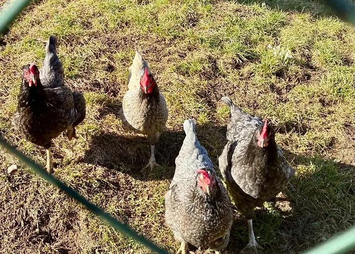 Mit Kamin Am Nationalpark Hainich * Beuernfeld